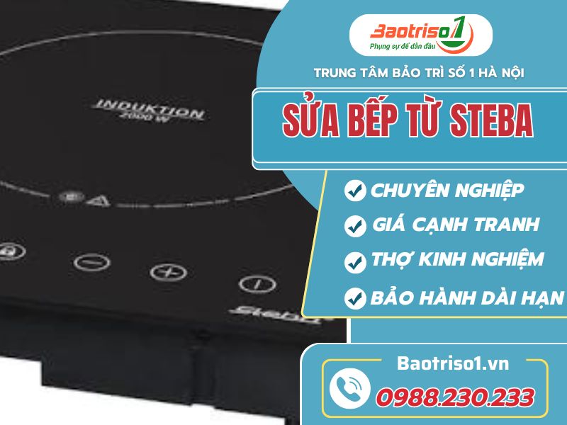 Sửa bếp từ Steba-Baotriso1