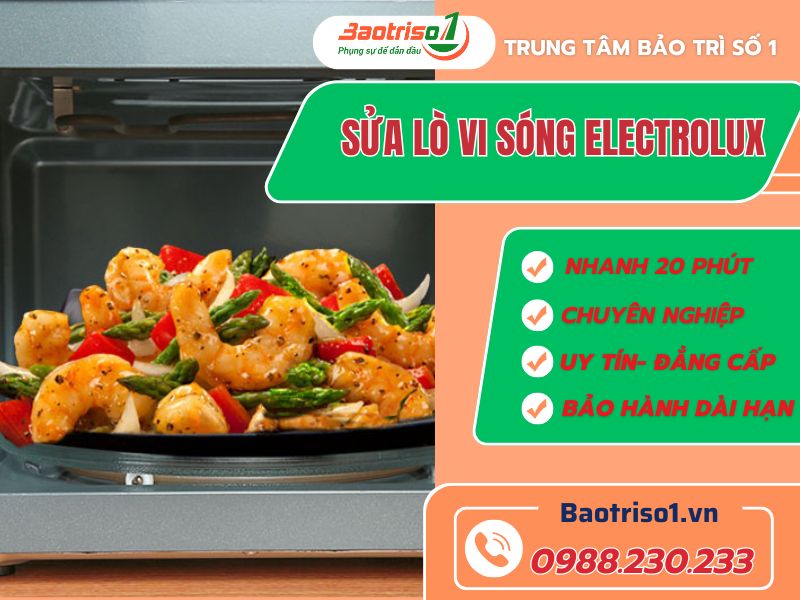 sua lo vi song electrolux baotriso1