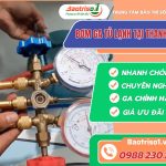 Bom ga tu lanh tai Thanh Xuan Baotriso1