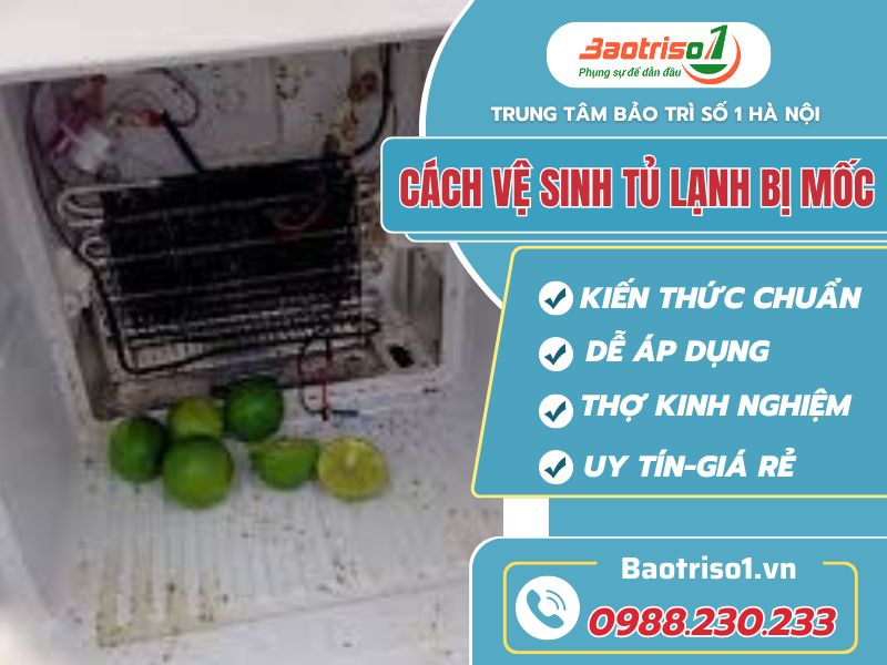 Cach ve sinh tu lanh bi moc Baotriso1