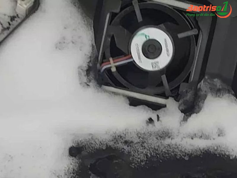 Baotriso1 địa chỉ sửa tủ lạnh nội địa Nhật uy tín, tử tế Baotriso1 địa chỉ sửa tủ lạnh nội địa Nhật uy tín, tử tế