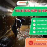 Thau be nuoc ngam tai Hoang Mai Baotriso1