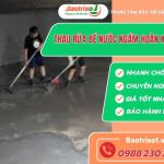 Thau rua be nuoc ngam Hoan Kiem Baotriso1