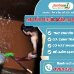 Thau rua be nuoc ngam tai Dong Da Baotriso1