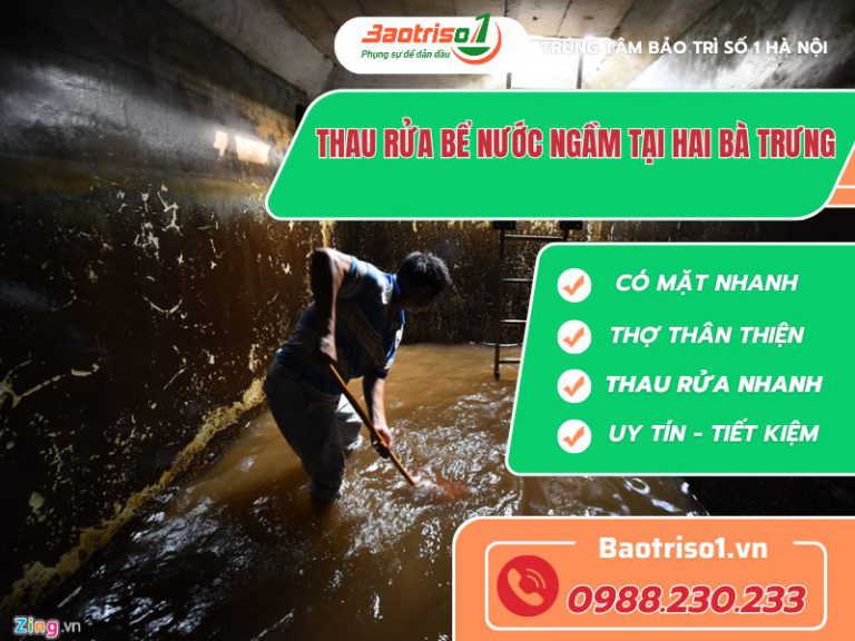 Thau rua be nuoc ngam tai Hai Ba Trung Baotriso1 768x576 1