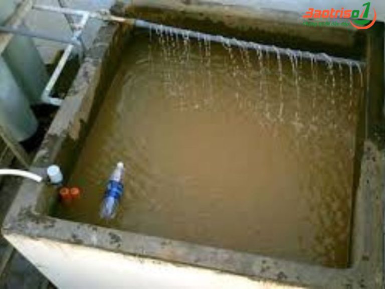 Dấu hiệu cần thau bể nước ngầm tại Hoàng Mai