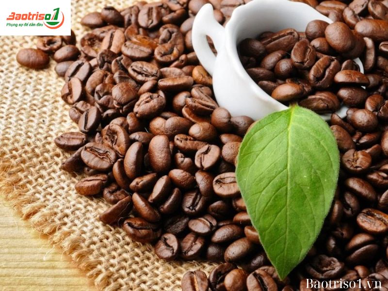 Bã cà phê giúp khử mùi hôi của tủ lạnh nội địa