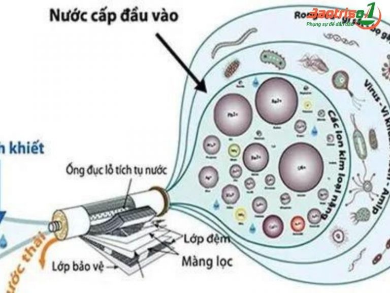 Sản xuất nước tinh khiết được thực hiện theo quy trình như thế nào?