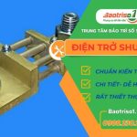 dien tro shunt avati 768x576 1