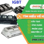 Igbt Nguyen Ly Hoat Dong