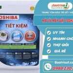 ma loi may giat toshiba avata