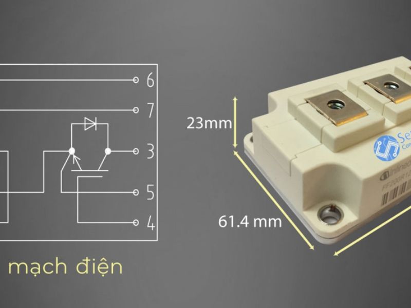 Nguyen Ly Hoat Dong Igbt