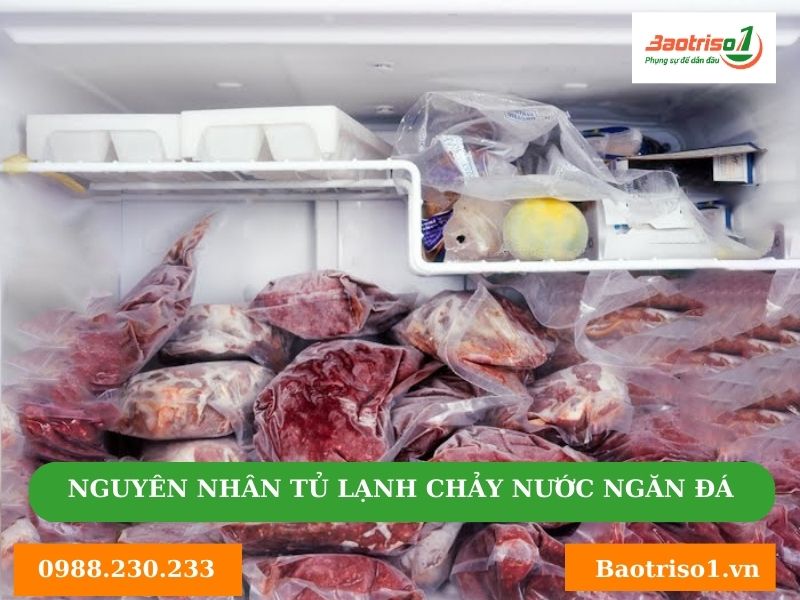 Nguyên nhân tủ lạnh chảy nước ngăn đá