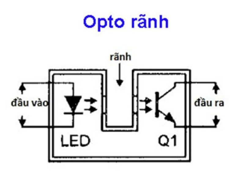 Opto rãnh
