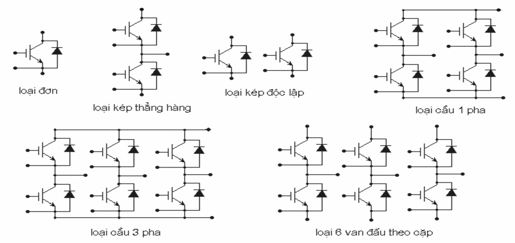 Phan Loai Igbt Kieu Vo