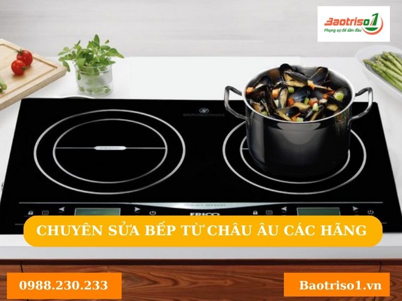 Lợi ích khi sửa bếp từ nhập khẩu Đức tại Baotriso1 Lợi ích khi sửa bếp từ nhập khẩu Đức tại Baotriso1