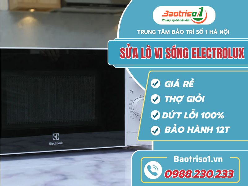 Thợ sửa lò vi sóng Electrolux tay nghề giỏi 