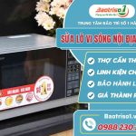 sua lo vi song noi dia nhat baotriso1