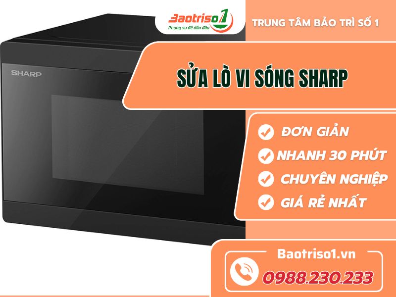 Sua Lo Vi Song Sharp Baotriso1