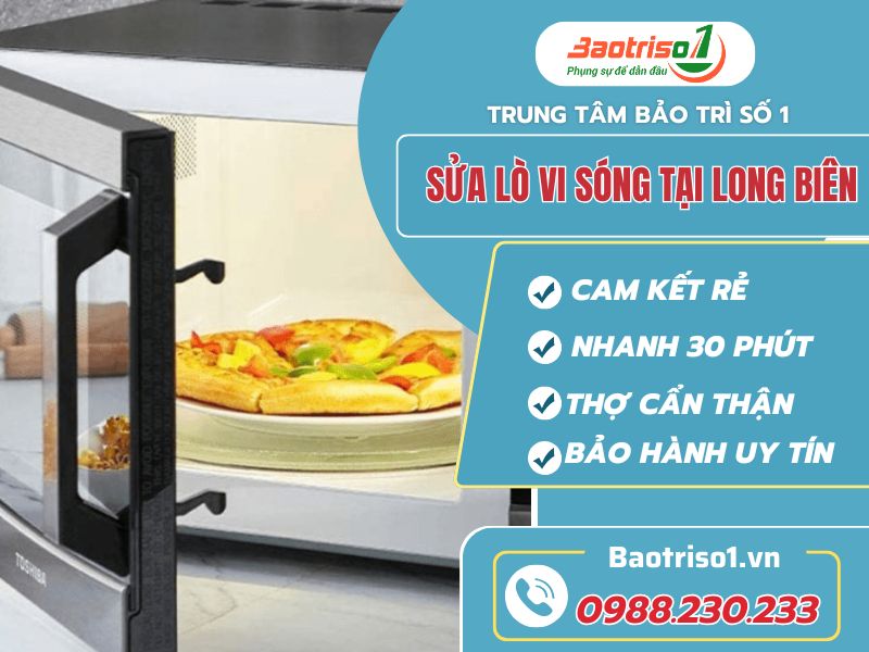 sua lo vi song tai long bien baotriso1