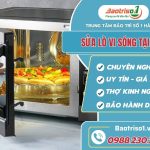 sua lo vi song tai nha avati