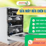 sua may rua chen candy avatar