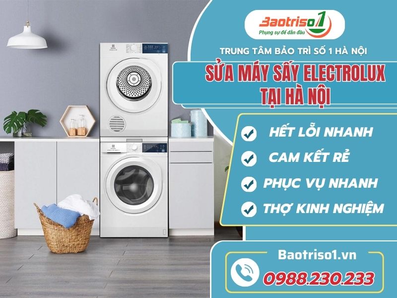 sua may say electrolux tai ha noi Baotriso1