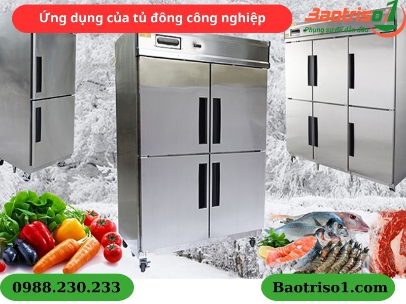 Ứng dụng của tủ đông công nghiệp Ứng dụng của tủ đông công nghiệp