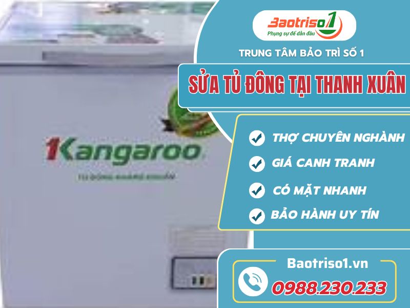 Baotriso1 sửa tủ đông tại Thanh Xuân giá rẻ