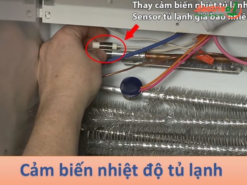 Lỗi F1 tủ lạnh Hitachi do cảm biến nhiệt độ bị hỏng Lỗi F1 tủ lạnh Hitachi do cảm biến nhiệt độ bị hỏng