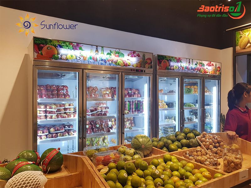 Sửa tủ mát Berjaya 