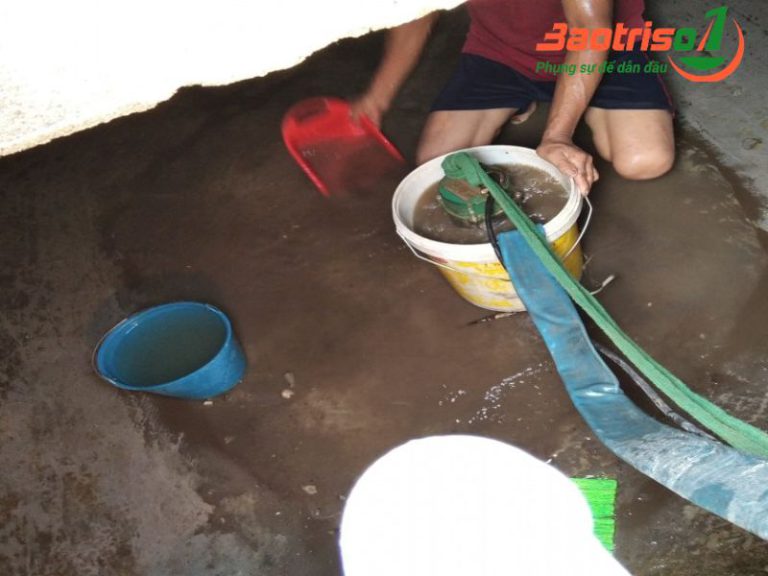 Vì sao nên thau bể nước tại Hà Đông thường xuyên Vì sao nên thau bể nước tại Hà Đông thường xuyên