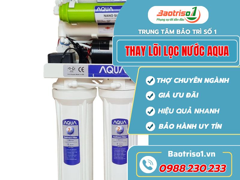 thay-loi-loc-nuoc-tai-tay-ho-baotriso1