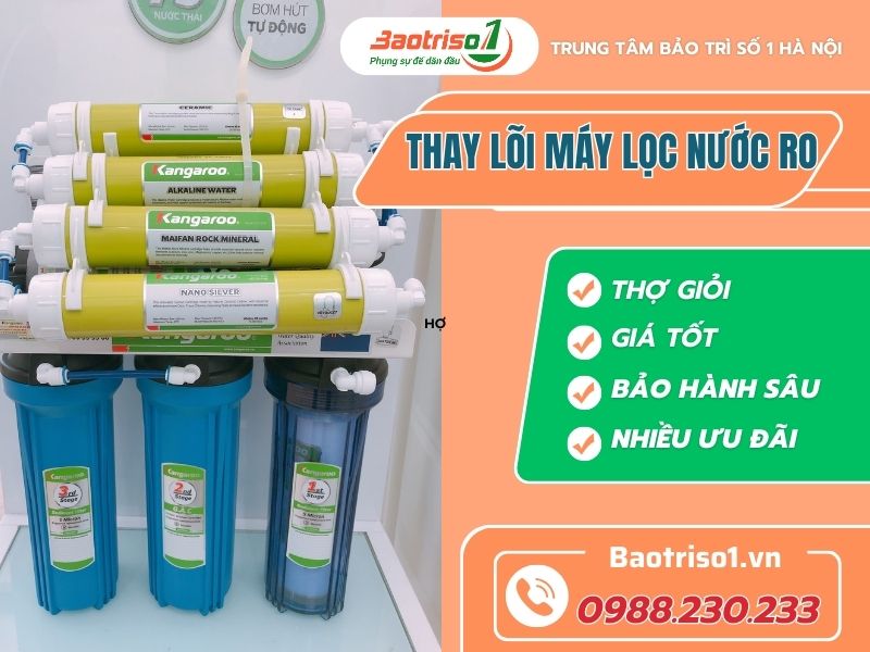 Baotriso1 thay lõi máy lọc nước Ro thợ giỏi, giá cạnh tranh