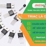 triac la gi avati 768x576 1