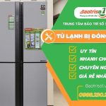 Tu Lanh Bi Dong Da Baotriso1