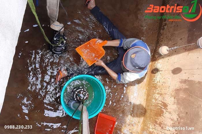 Các bước thau bể nước ngầm đạt chuẩn