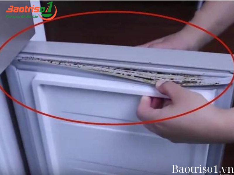 Cách vệ sinh tủ lạnh Ron tủ lạnh bằng giấm và nước Cách vệ sinh tủ lạnh Ron tủ lạnh bằng giấm và nước