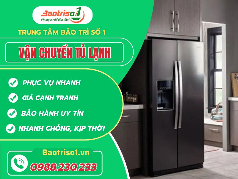 Van Chuyen Tu Lanh Baotriso1 Avartar